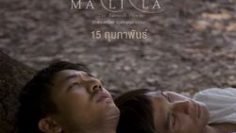 Malila_The_Farewell_Flower