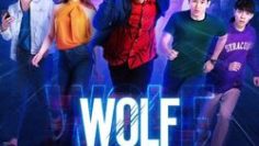 Wolf_2019-2