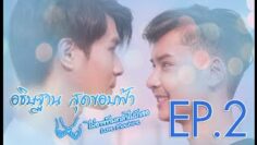 love machine