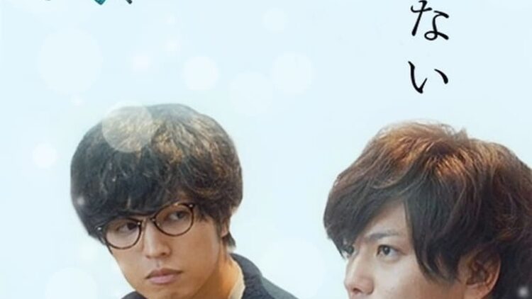 Ants Without Umbrella – Sub Español