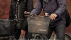 Present Perfect – Sub Español