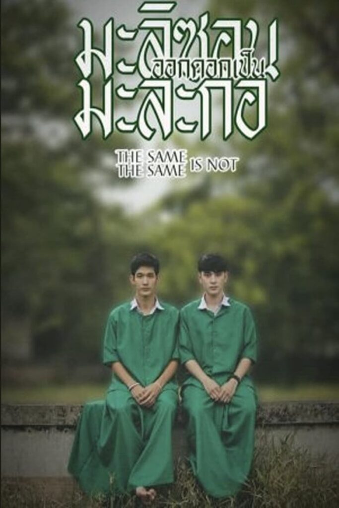 Same Same Is Not The Same