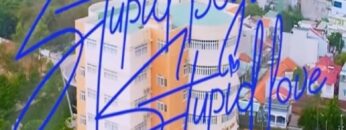 Stupid Boys, Stupid Love – Sub Español