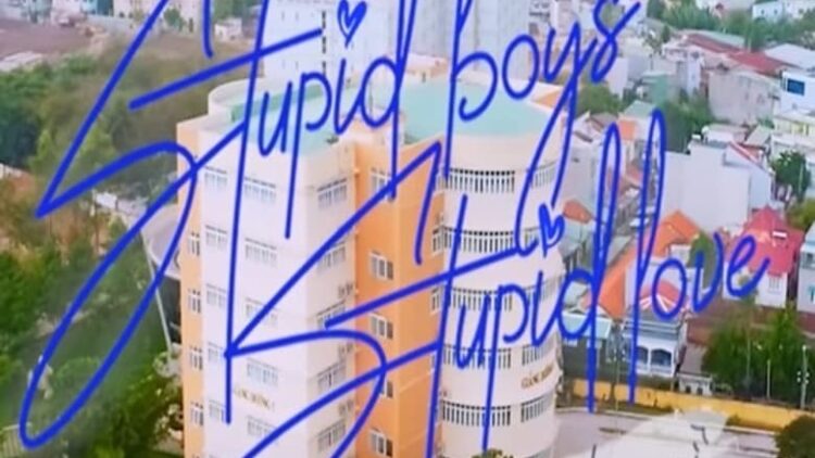 Stupid Boys, Stupid Love – Sub Español