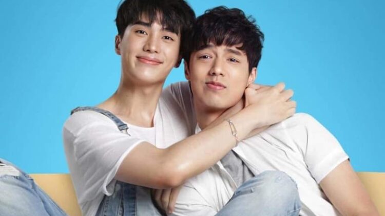 The Miracle of Teddy Bear