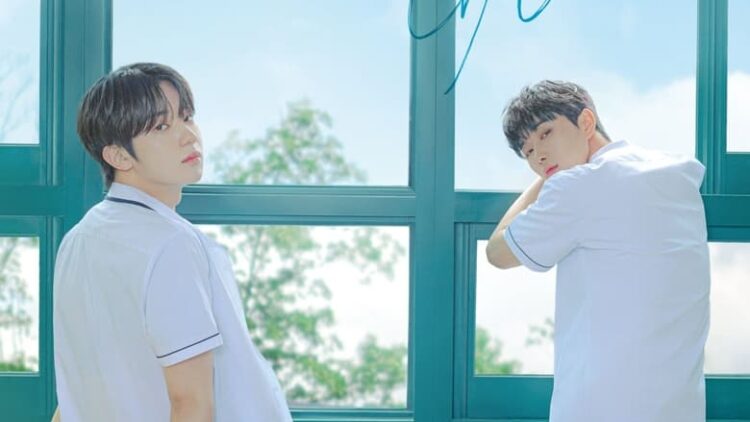 A Shoulder to Cry On 