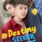 Destiny Seeker