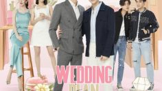 Wedding Plan