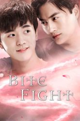 Legend of Twilight Night