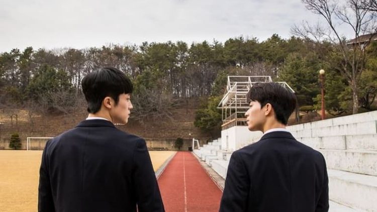 Where Your Eyes Linger