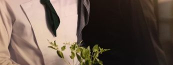 This Love Doesn’t Have Long Beans