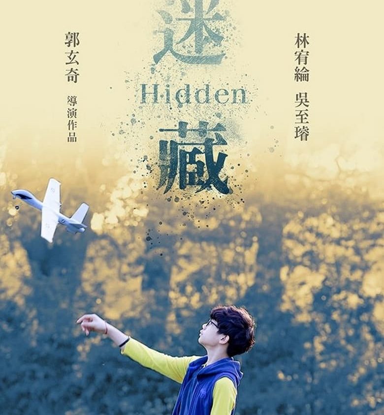 Video Image