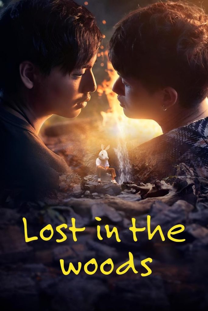  Lost in the Woods