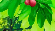 Secrets Happened on the Litchi Island