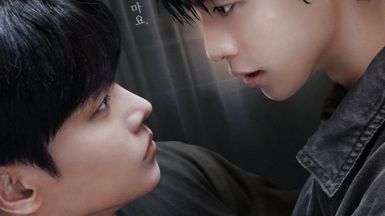 The Killer Next Door