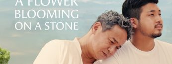 A Flower Blooming on a Stone