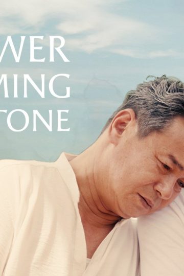 A Flower Blooming on a Stone