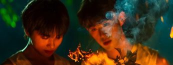 Secrets Happened on the Litchi Island (Movie)