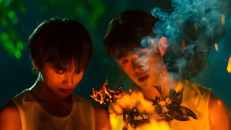 Secrets Happened on the Litchi Island (Movie)