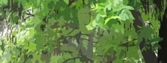 Approach to Love – Sub Español