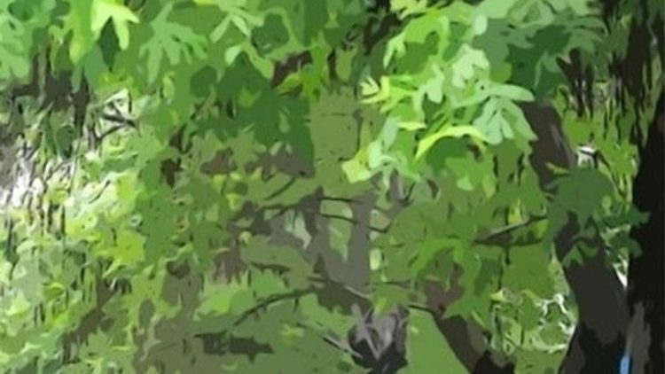 Approach to Love – Sub Español