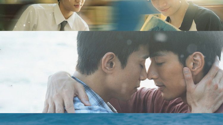 Wishing upon the Shooting Stars