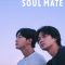 Soul Mate