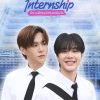 My Summer Internship