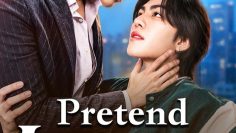 Pretend Lover