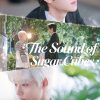 The Sound of Sugar Cubes