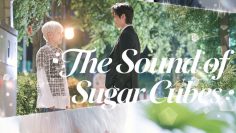 The Sound of Sugar Cubes